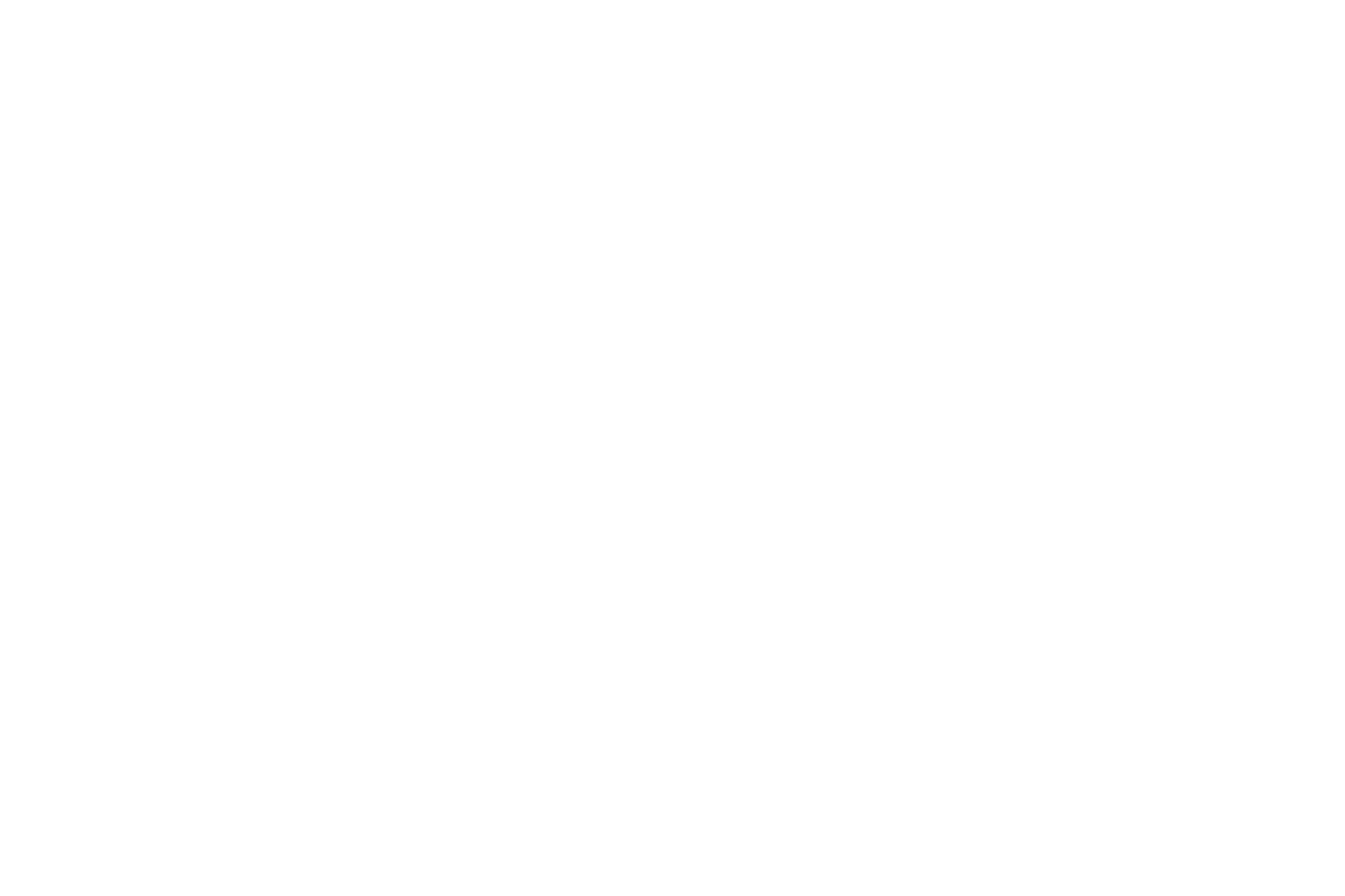 Project V